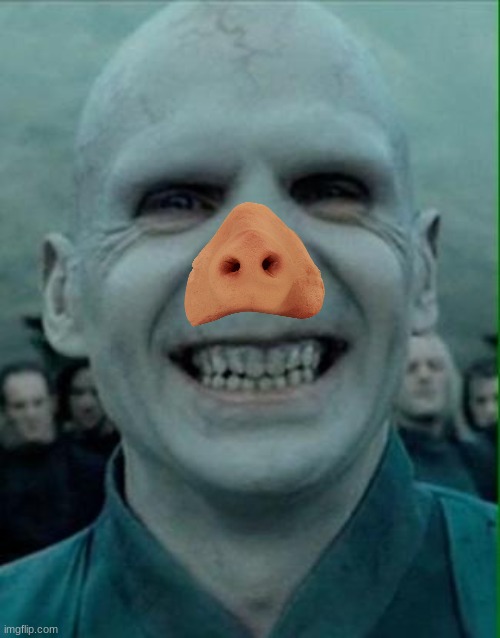 image tagged in voldemort grin | made w/ Imgflip meme maker