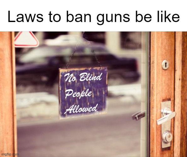Gun laws | Laws to ban guns be like | image tagged in gun laws,politics,memes | made w/ Imgflip meme maker
