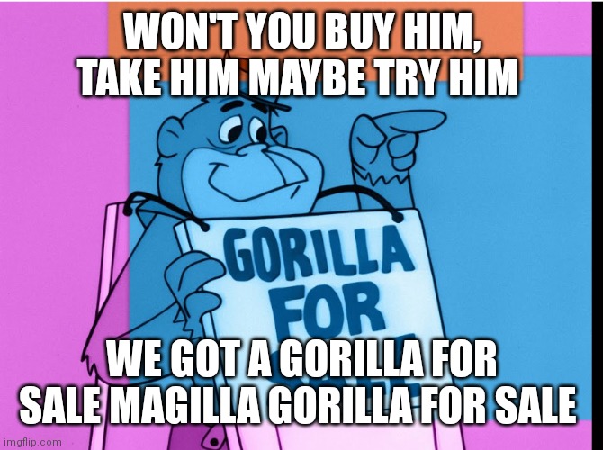 We got a gorilla for sale magilla gorilla for sale | WON'T YOU BUY HIM, TAKE HIM MAYBE TRY HIM; WE GOT A GORILLA FOR SALE MAGILLA GORILLA FOR SALE | image tagged in gorilla for sale,funny memes,boomerang | made w/ Imgflip meme maker