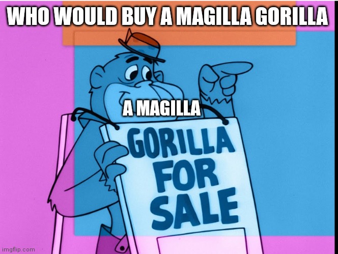 Magilla gorilla | WHO WOULD BUY A MAGILLA GORILLA; A MAGILLA | image tagged in funny memes,boomerang | made w/ Imgflip meme maker