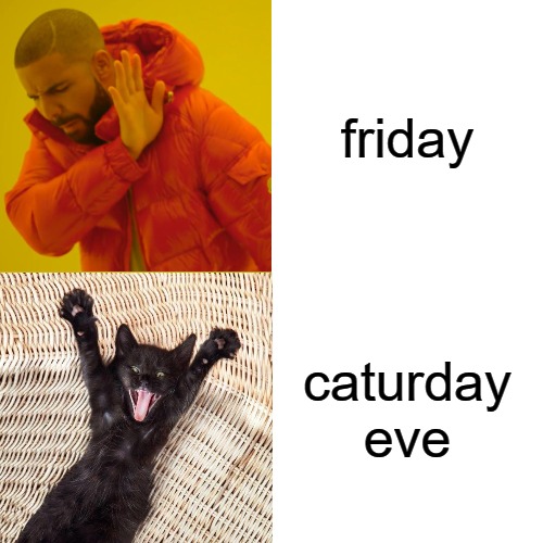Caturday Humor | friday; caturday eve | image tagged in memes,drake hotline bling,caturday,cats,petlovers,humor | made w/ Imgflip meme maker