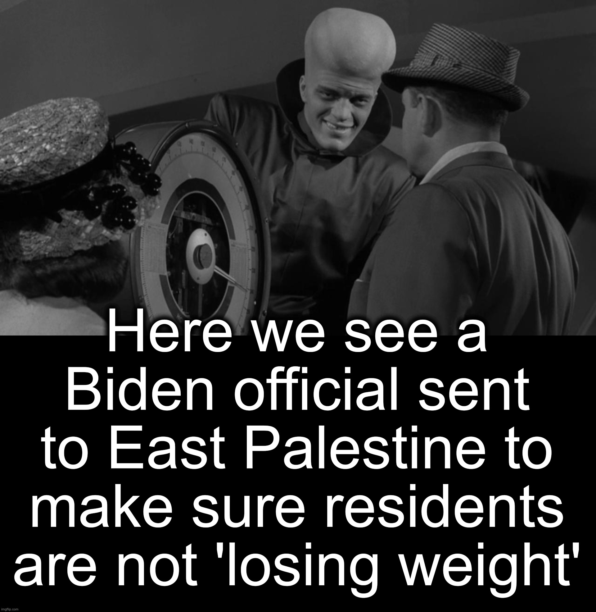 Government to serve the people [warning: what's-for-dinner? satire] | Here we see a Biden official sent to East Palestine to make sure residents are not 'losing weight' | image tagged in biden,server,train wreck | made w/ Imgflip meme maker