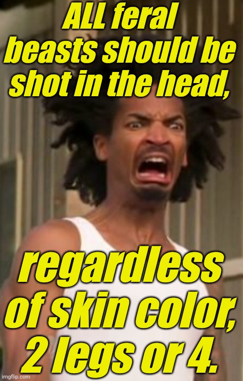 Darnell CrabMan Harry Disgusted | ALL feral beasts should be shot in the head, regardless of skin color, 2 legs or 4. | image tagged in darnell crabman harry disgusted | made w/ Imgflip meme maker