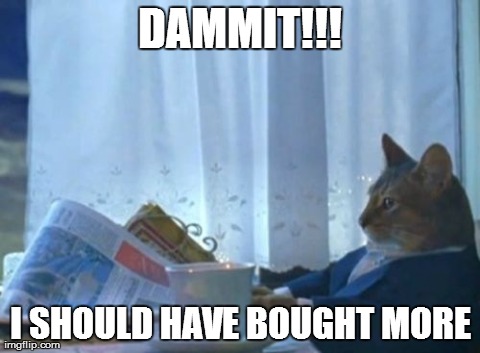 I Should Buy A Boat Cat | DAMMIT!!! I SHOULD HAVE BOUGHT MORE | image tagged in memes,i should buy a boat cat | made w/ Imgflip meme maker