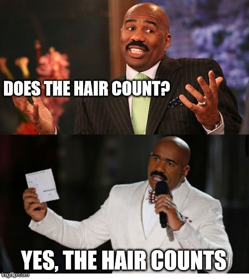 DOES THE HAIR COUNT? YES, THE HAIR COUNTS | image tagged in memes,steve harvey | made w/ Imgflip meme maker