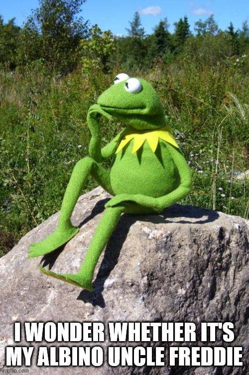 Kermit-thinking | I WONDER WHETHER IT'S MY ALBINO UNCLE FREDDIE | image tagged in kermit-thinking | made w/ Imgflip meme maker