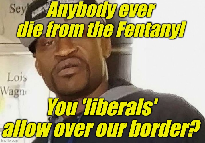 Fentanyl floyd | Anybody ever die from the Fentanyl You 'liberals' allow over our border? | image tagged in fentanyl floyd | made w/ Imgflip meme maker