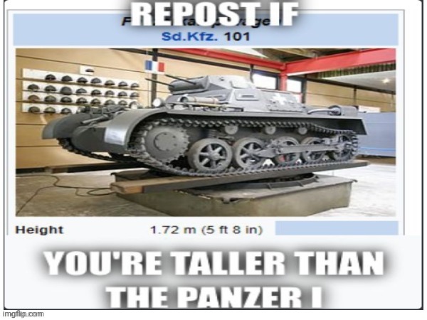 Yes is am | image tagged in repost if you're taller,memes,tank,funny,history,panzer | made w/ Imgflip meme maker