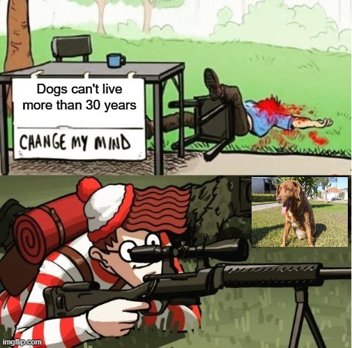 this dog is 30 years old and is about to have 31 (may 11th) | Dogs can't live more than 30 years | image tagged in waldo shoots the change my mind guy,change my mind | made w/ Imgflip meme maker