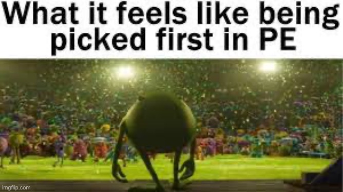 What it feels like being picked first in PE | image tagged in school,memes,funny,mike wazowski | made w/ Imgflip meme maker