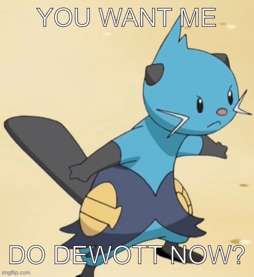 You want me to Dewott now? | image tagged in you want me to dewott now | made w/ Imgflip meme maker