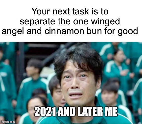 Also no something like Kashiroth doesn’t count | Your next task is to separate the one winged angel and cinnamon bun for good; 2021 AND LATER ME | image tagged in your next task is to- | made w/ Imgflip meme maker