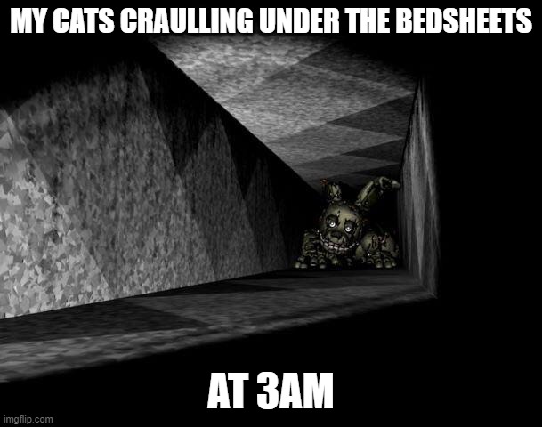 FnAF 3 | MY CATS CRAULLING UNDER THE BEDSHEETS; AT 3AM | image tagged in fnaf 3 | made w/ Imgflip meme maker