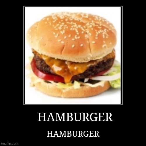 HAMBURGER | image tagged in funny,demotivationals | made w/ Imgflip demotivational maker