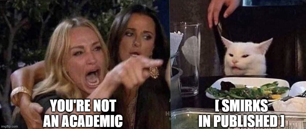 Publish or Perish? | YOU'RE NOT AN ACADEMIC; [ SMIRKS IN PUBLISHED ] | image tagged in woman yelling at cat | made w/ Imgflip meme maker