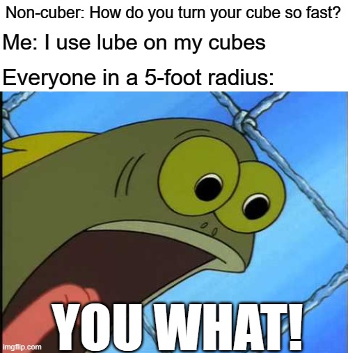 "I lube my cubes" sounds weird out of context |  Non-cuber: How do you turn your cube so fast? Me: I use lube on my cubes; Everyone in a 5-foot radius:; YOU WHAT! | image tagged in you what,rubik's cube,rubik cube,rubiks cube | made w/ Imgflip meme maker