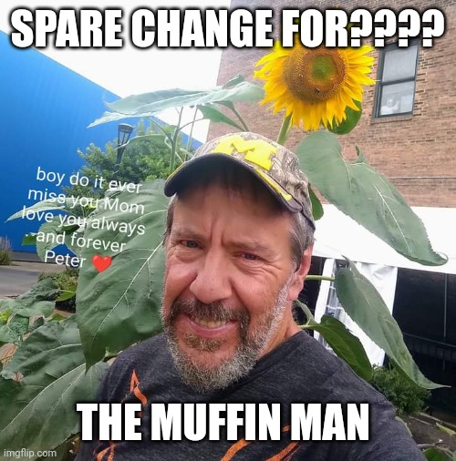 Spare Change For? | SPARE CHANGE FOR???? THE MUFFIN MAN | image tagged in peter plant,muffin,men laughing,too funny,good memes | made w/ Imgflip meme maker