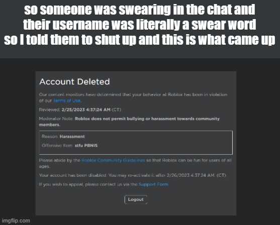 wth bro.. | so someone was swearing in the chat and their username was literally a swear word so I told them to shut up and this is what came up | image tagged in roblox,funny,memes,fun,banned,image tags | made w/ Imgflip meme maker