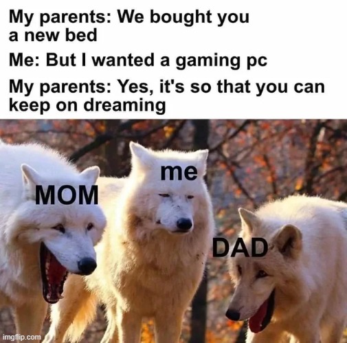 image tagged in repost,laughing wolf,memes,funny,family,dreaming | made w/ Imgflip meme maker
