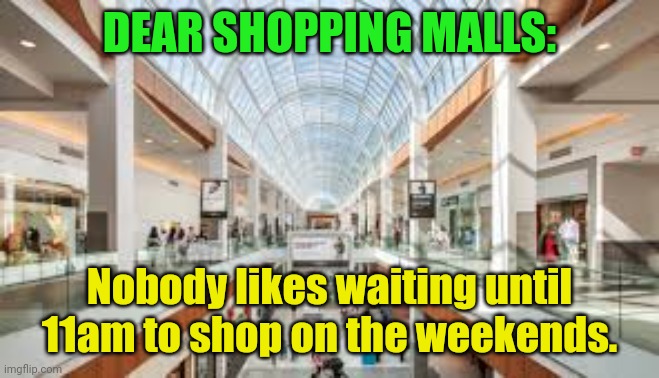 Shopping Mall | DEAR SHOPPING MALLS:; Nobody likes waiting until 11am to shop on the weekends. | image tagged in shopping mall | made w/ Imgflip meme maker