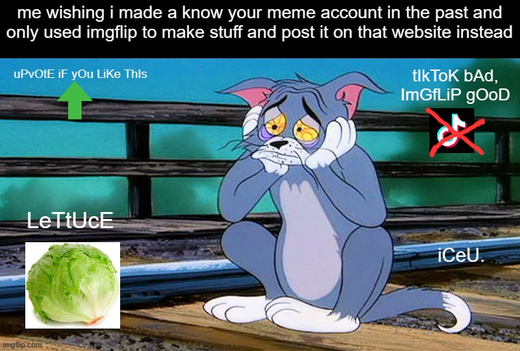 i should of made a know your meme account in the beginning | me wishing i made a know your meme account in the past and only used imgflip to make stuff and post it on that website instead; tIkToK bAd, ImGfLiP gOoD; uPvOtE iF yOu LiKe ThIs; LeTtUcE; iCeU. | image tagged in imgflip | made w/ Imgflip meme maker