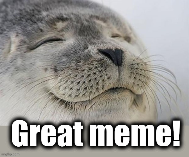 Satisfied Seal Meme | Great meme! | image tagged in memes,satisfied seal | made w/ Imgflip meme maker