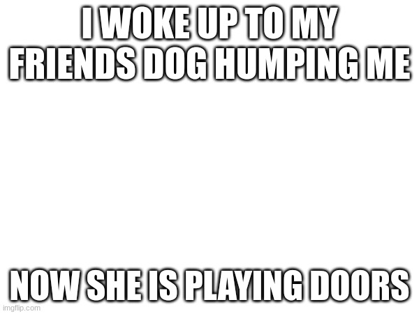 I WOKE UP TO MY FRIENDS DOG HUMPING ME; NOW SHE IS PLAYING DOORS | image tagged in idk | made w/ Imgflip meme maker