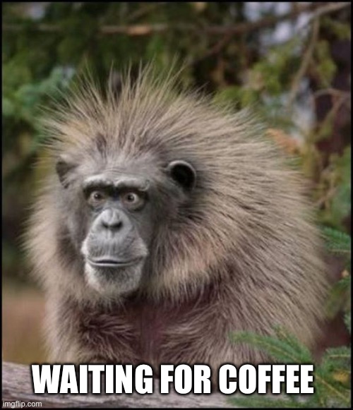 When coffee is late | WAITING FOR COFFEE | image tagged in kray kray ox,coffees,funny | made w/ Imgflip meme maker