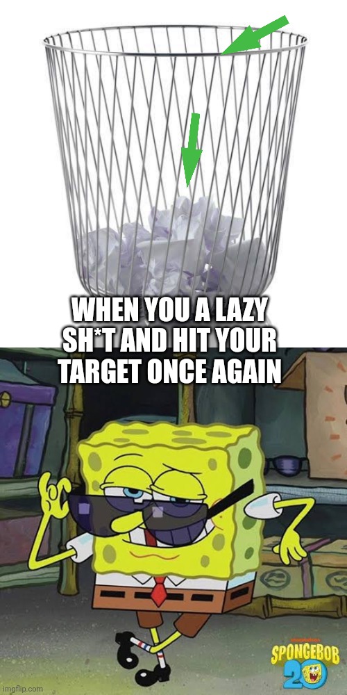Paper throw | WHEN YOU A LAZY SH*T AND HIT YOUR TARGET ONCE AGAIN | image tagged in throw,basket,paper | made w/ Imgflip meme maker