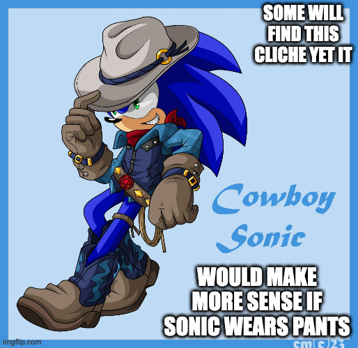 Cowboy Sonic | SOME WILL FIND THIS CLICHE YET IT; WOULD MAKE MORE SENSE IF SONIC WEARS PANTS | image tagged in sonic the hedgehog,memes | made w/ Imgflip meme maker