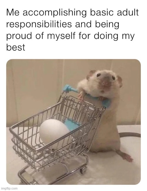 It’s not much, but it’s honest work | image tagged in wholesome,repost,wholesome content,memes,funny,responsibilities | made w/ Imgflip meme maker