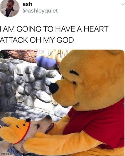 Winnie the Pooh, and Winnie the Pooh JR. | image tagged in winnie the pooh,wholesome,wholesome content,dogs,memes,funny | made w/ Imgflip meme maker