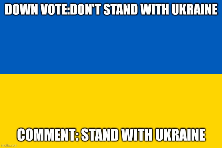 I stand with ukraine | DOWN VOTE:DON'T STAND WITH UKRAINE; COMMENT: STAND WITH UKRAINE | image tagged in ukraine,fun | made w/ Imgflip meme maker