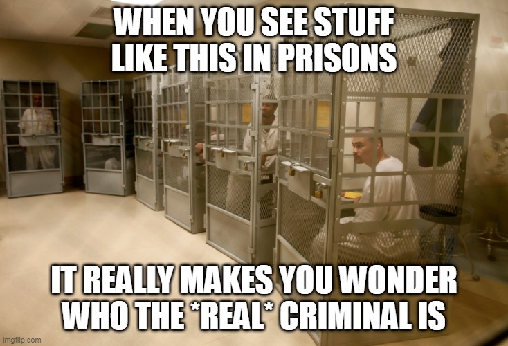 It really does.... | WHEN YOU SEE STUFF LIKE THIS IN PRISONS; IT REALLY MAKES YOU WONDER WHO THE *REAL* CRIMINAL IS | image tagged in united states prison system,united states,prison system,inmates,criminals,dehumanization | made w/ Imgflip meme maker