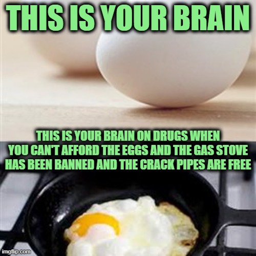 Funny How it all just Fits | THIS IS YOUR BRAIN; THIS IS YOUR BRAIN ON DRUGS WHEN YOU CAN'T AFFORD THE EGGS AND THE GAS STOVE HAS BEEN BANNED AND THE CRACK PIPES ARE FREE | image tagged in brain brain on drugs egg | made w/ Imgflip meme maker