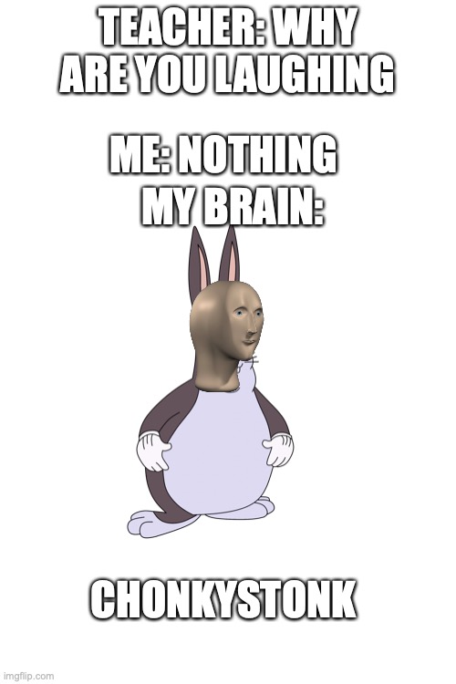 chonkystonk | TEACHER: WHY ARE YOU LAUGHING; ME: NOTHING; MY BRAIN:; CHONKYSTONK | image tagged in stonks,funny memes | made w/ Imgflip meme maker