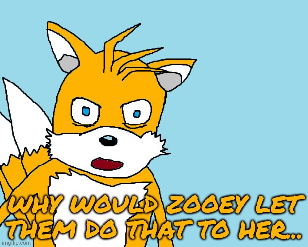 Tails gets trolled template (original meme) | WHY WOULD ZOOEY LET THEM DO THAT TO HER... | image tagged in tails gets trolled template original meme | made w/ Imgflip meme maker