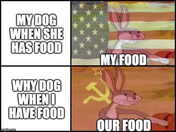 Capitalist and communist | MY DOG WHEN SHE HAS FOOD; MY FOOD; WHY DOG WHEN I HAVE FOOD; OUR FOOD | image tagged in capitalist and communist | made w/ Imgflip meme maker
