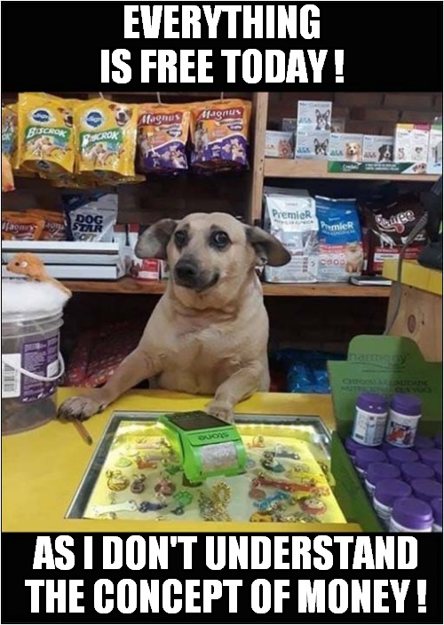 I Like This Dog Shop Keeper ! | EVERYTHING IS FREE TODAY ! AS I DON'T UNDERSTAND THE CONCEPT OF MONEY ! | image tagged in dogs,shop keeper,pet stores,free | made w/ Imgflip meme maker