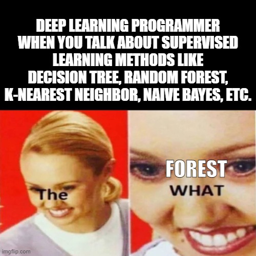 What is the Random Forest,huh? I'm using Pytorch bro. | DEEP LEARNING PROGRAMMER WHEN YOU TALK ABOUT SUPERVISED LEARNING METHODS LIKE DECISION TREE, RANDOM FOREST, K-NEAREST NEIGHBOR, NAIVE BAYES, ETC. FOREST | image tagged in the what | made w/ Imgflip meme maker