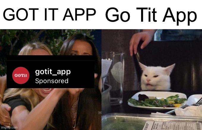 I’m scared | GOT IT APP; Go Tit App | image tagged in memes,woman yelling at cat | made w/ Imgflip meme maker