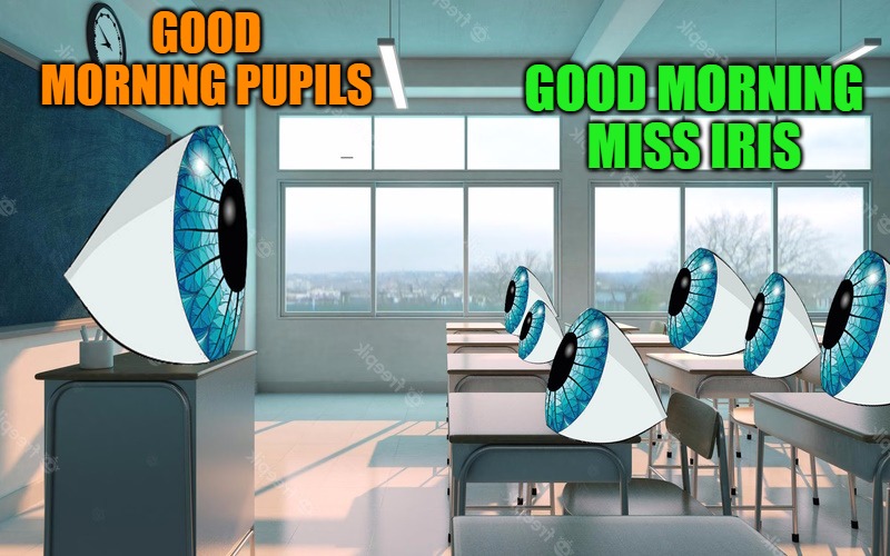 good morning | GOOD MORNING PUPILS; GOOD MORNING MISS IRIS | image tagged in pupils,teacher | made w/ Imgflip meme maker