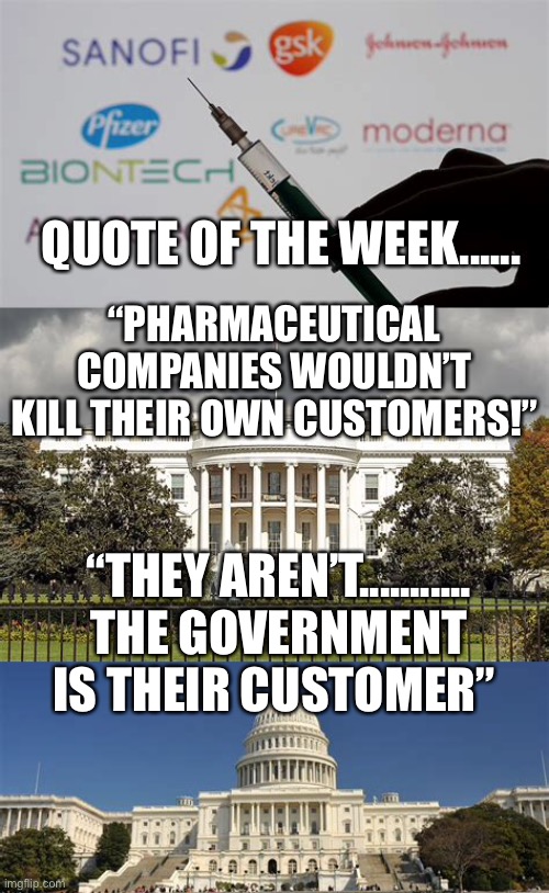 Public, private, profiting partnership | QUOTE OF THE WEEK...... “PHARMACEUTICAL COMPANIES WOULDN’T KILL THEIR OWN CUSTOMERS!”; “THEY AREN’T........... THE GOVERNMENT IS THEIR CUSTOMER” | image tagged in big pharma,corruption,fake news,democrats | made w/ Imgflip meme maker
