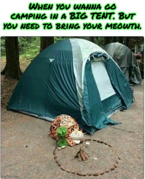 Vote big tent partee | When you wanna go camping in a BIG TENT. But you need to bring your meowth. | image tagged in vote,big tent,party,meowth | made w/ Imgflip meme maker