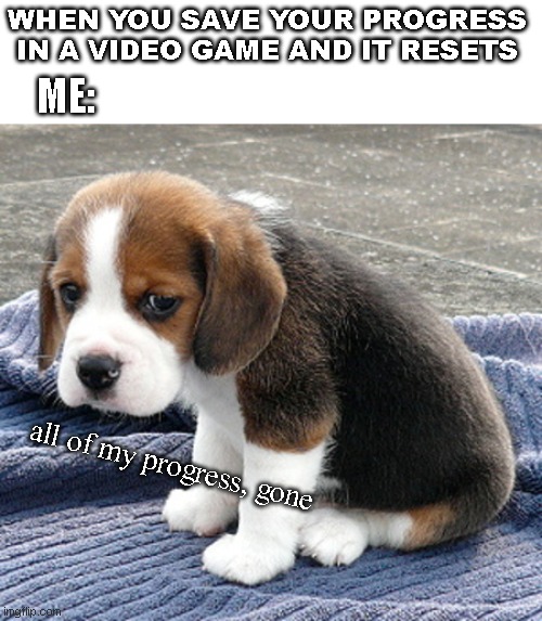 sad dog | WHEN YOU SAVE YOUR PROGRESS IN A VIDEO GAME AND IT RESETS; ME:; all of my progress, gone | image tagged in sad dog,lost progres | made w/ Imgflip meme maker