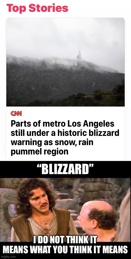 “BLIZZARD”; I DO NOT THINK IT MEANS WHAT YOU THINK IT MEANS | image tagged in inigo montoya,california,blizzard | made w/ Imgflip meme maker