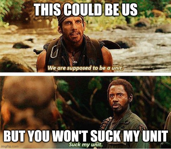 Tropic thunder | THIS COULD BE US; BUT YOU WON'T SUCK MY UNIT | image tagged in tropic thunder | made w/ Imgflip meme maker