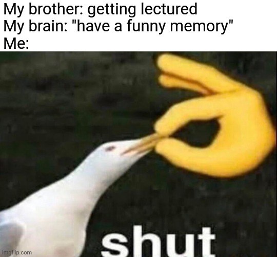 Please visit my stream https://imgflip.com/m/It_is_Wholesome | My brother: getting lectured
My brain: "have a funny memory"
Me: | image tagged in shut,memes,meme | made w/ Imgflip meme maker