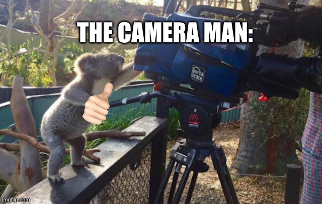 Koala Cameraman | THE CAMERA MAN: | image tagged in koala cameraman | made w/ Imgflip meme maker
