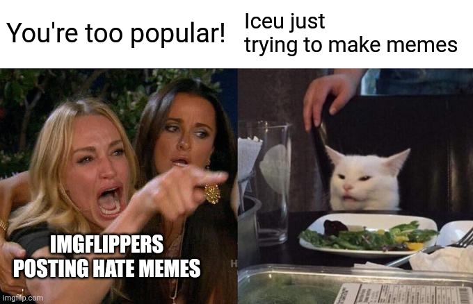 They handle it like a pro though | You're too popular! Iceu just trying to make memes; IMGFLIPPERS POSTING HATE MEMES | image tagged in iceu,woman yelling at cat | made w/ Imgflip meme maker